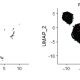 What is that rash? Genetic fingerprints can help doctors diagnose and treat skin conditions more effectively