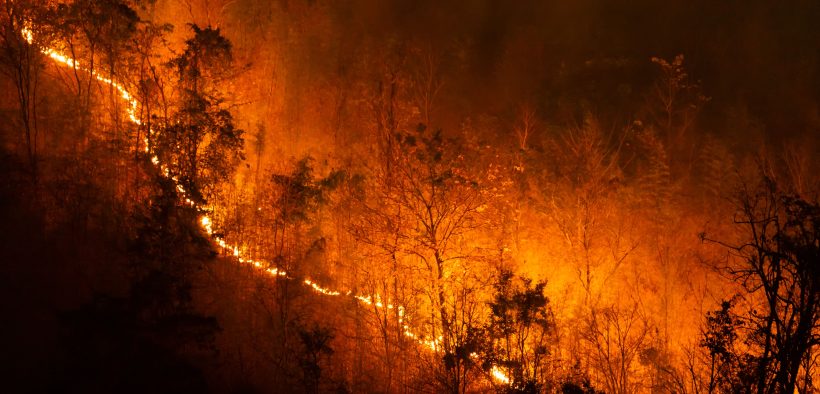 How climate change is making your patients sick, and what you can do about it.