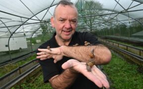 Cure for eczema moves at a snail’s pace — literally