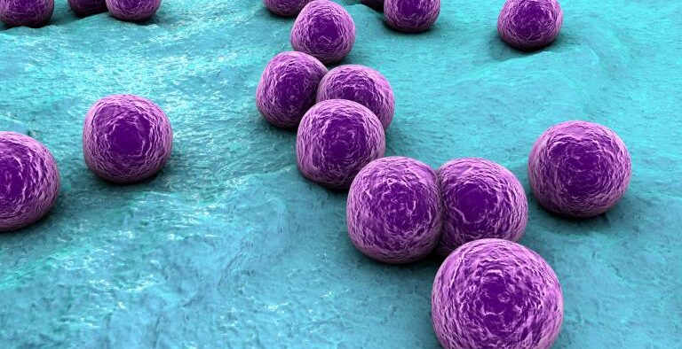 Common skin bacterium puts children with severe eczema at higher risk of food allergy
