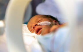 A photo of a preterm infant sleeping in an incubator.