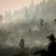 "Pollutants penetrate deeper and trigger the immune system."