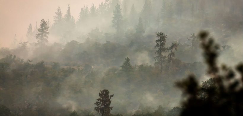 "Pollutants penetrate deeper and trigger the immune system."